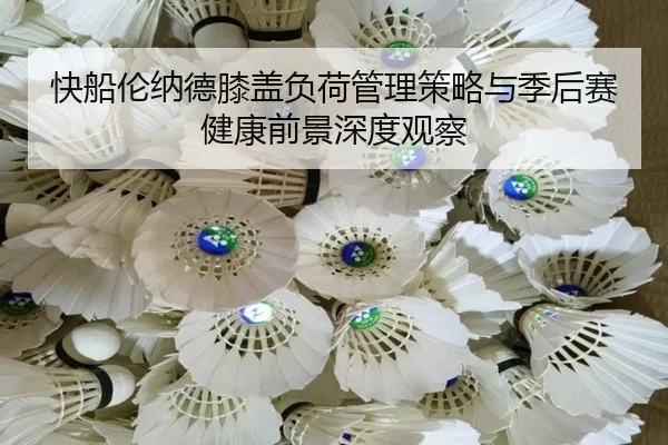 快船伦纳德膝盖负荷管理策略与季后赛健康前景深度观察
