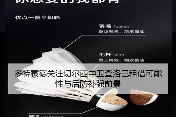 多特蒙德关注切尔西中卫查洛巴租借可能性与后防补强前景
